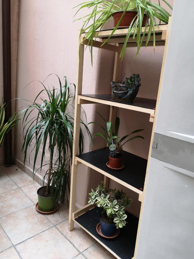 B&B Casa Valeria カターニア エクステリア 写真